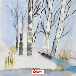 XFRH-AQUASH WATER BRUSH-MEDIUM(M)(WEB)